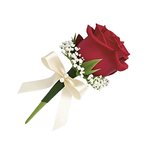 Crimson Rose Elegance