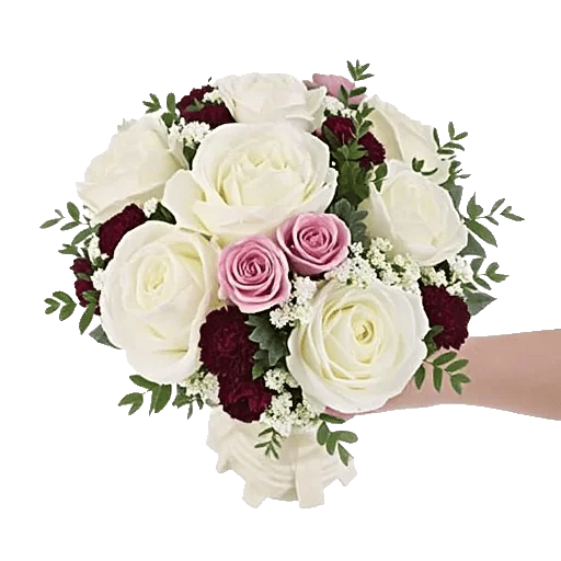 Peony Petal Harmony