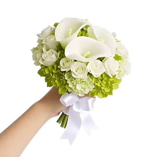 Elegant Calla Lilies