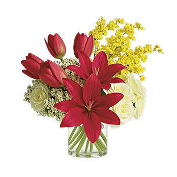 Scarlet Tulip Splendor