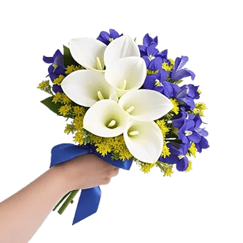 Elegant Calla Lilies