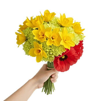 Blossom Harmony Display