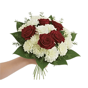 Crimson Rose Elegance