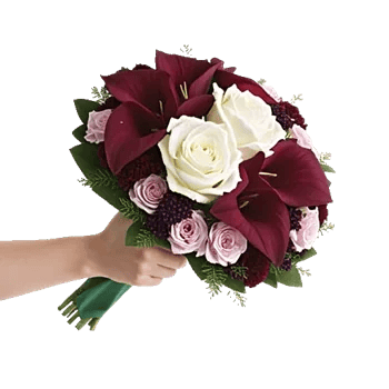 Elegant Calla Lilies