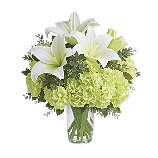 Ivory Blossom Radiance