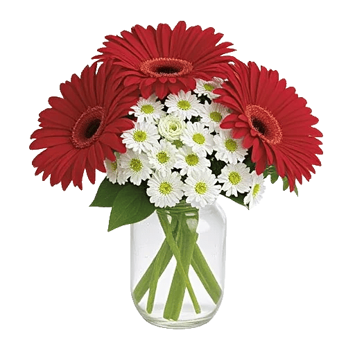 Petal Radiance Bliss