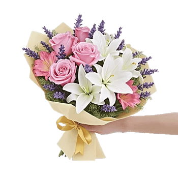 Blushing Rose Symphony