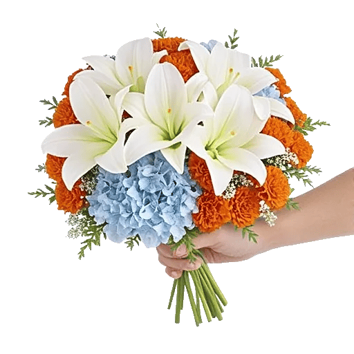 Serene Petal Harmony