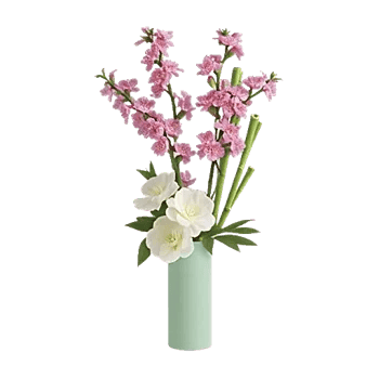 Plum Blossom Radiance