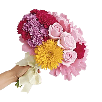 Petal Grace Harmony