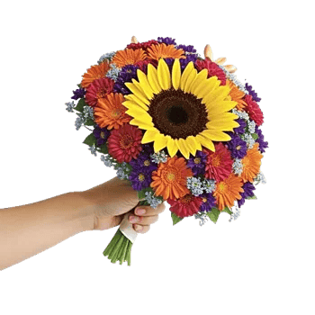 Radiant Bloom Cascade