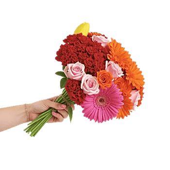 Blossom Harmony Display