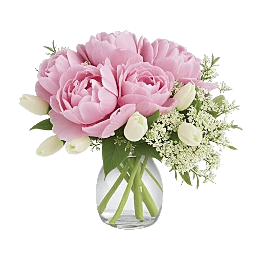 Petal Radiance Bliss