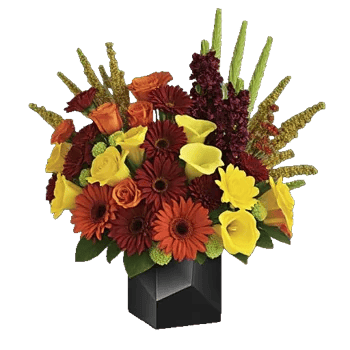 Radiant Petal Display