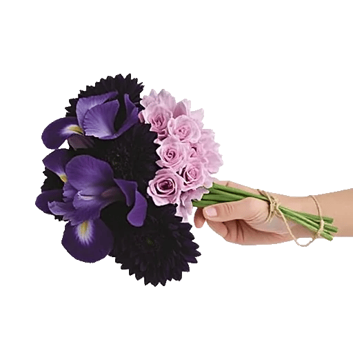 Ivory Blossom Radiance