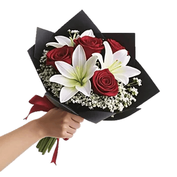 Crimson Rose Elegance