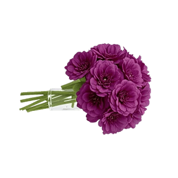 Crimson Blossom Harmony