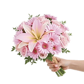 Blushing Rose Symphony