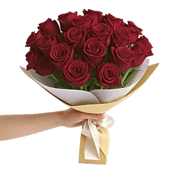 Crimson Rose Elegance