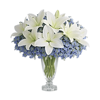 Frosted Lily Spread
