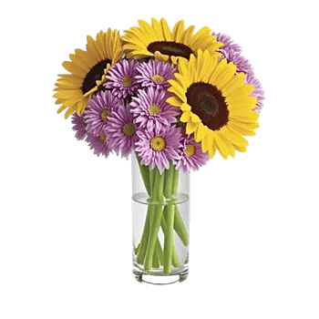 Radiant Bloom Cascade