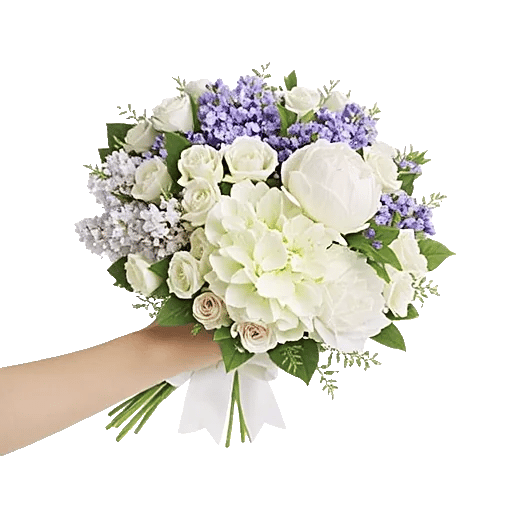 Serene Petal Harmony