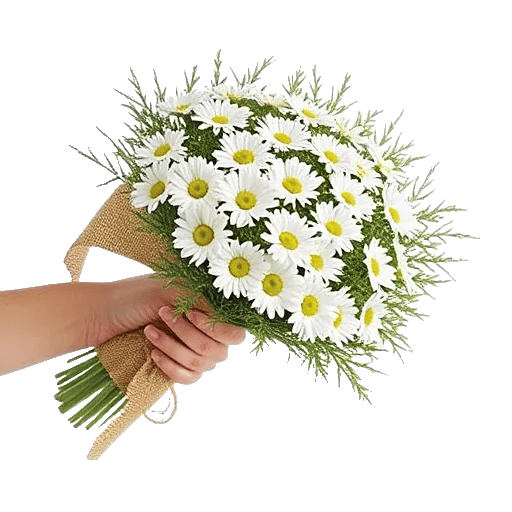 Ivory Garden Grace