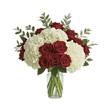 Crimson Rose Elegance