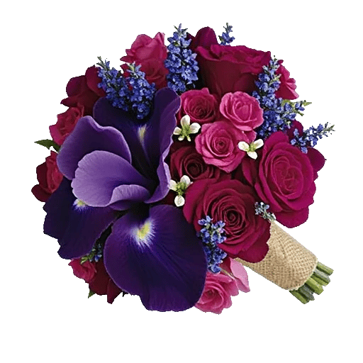 Ivory Blossom Radiance