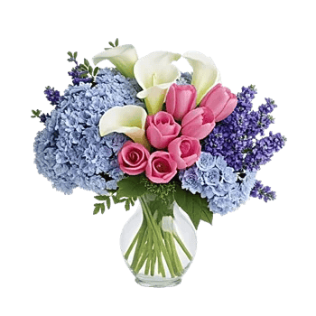 Elegant Calla Lilies