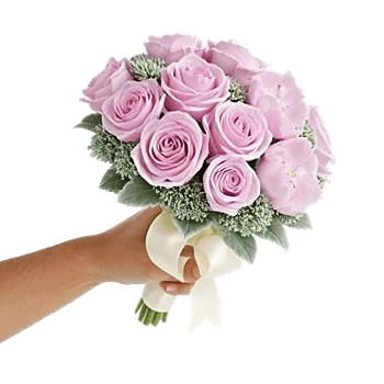 Pastel Pink Roses