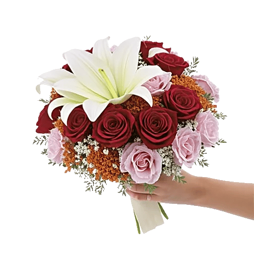 Ivory Blossom Radiance