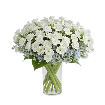 Ivory Blossom Radiance