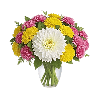 Radiant Bloom Cascade