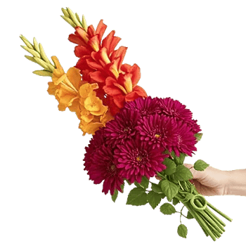 Petal Harmony Bliss