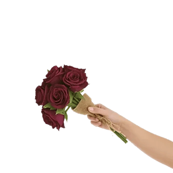 Crimson Rose Elegance