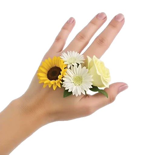 Twinkling Sunflower Dance