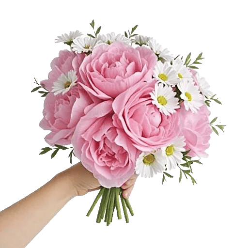 Peony Petal Harmony