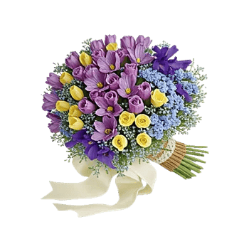 Serene Petal Harmony