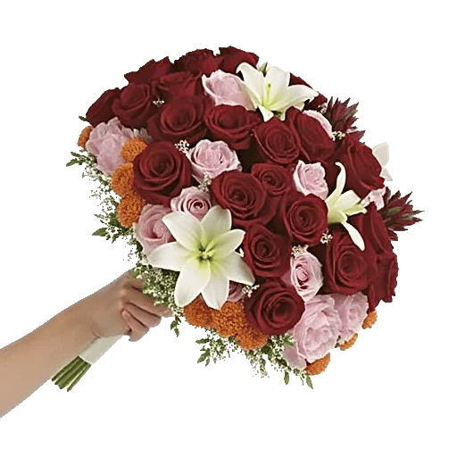 Blushing Rose Symphony