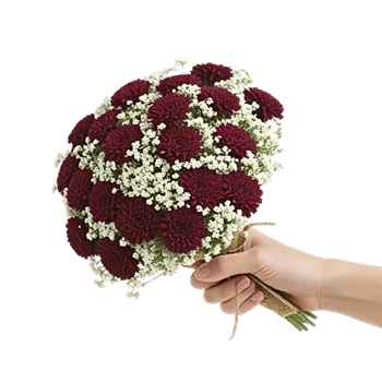 Elegant Calla Lilies