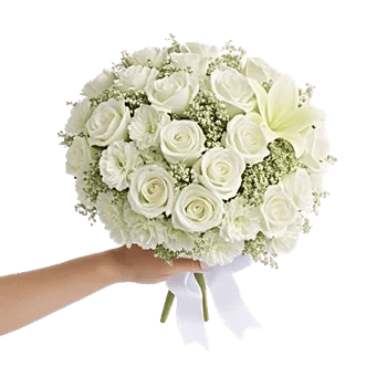 Ivory Garden Grace