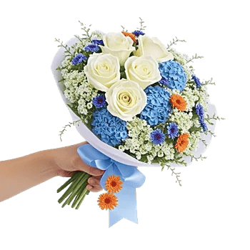 Serene Petal Harmony