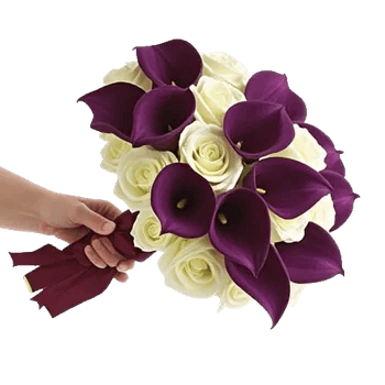 Elegant Calla Lilies