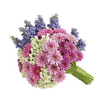 Blossom Harmony Display