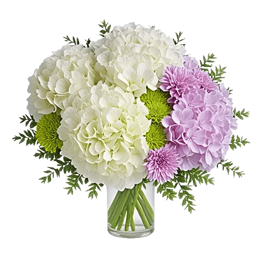 Ivory Blossom Radiance