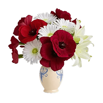 Crimson Blossom Harmony