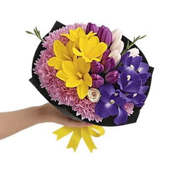 Blossom Harmony Display