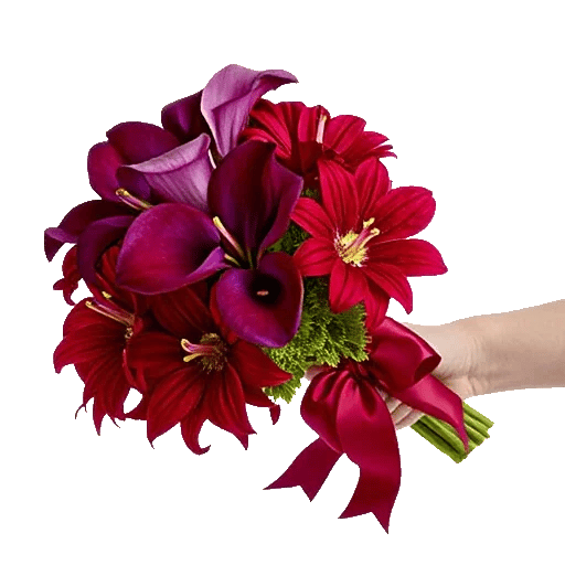 Elegant Calla Lilies