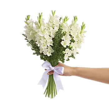 Blossom Harmony Display